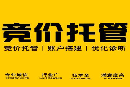 竞价托管新模式：企业成功案例解析